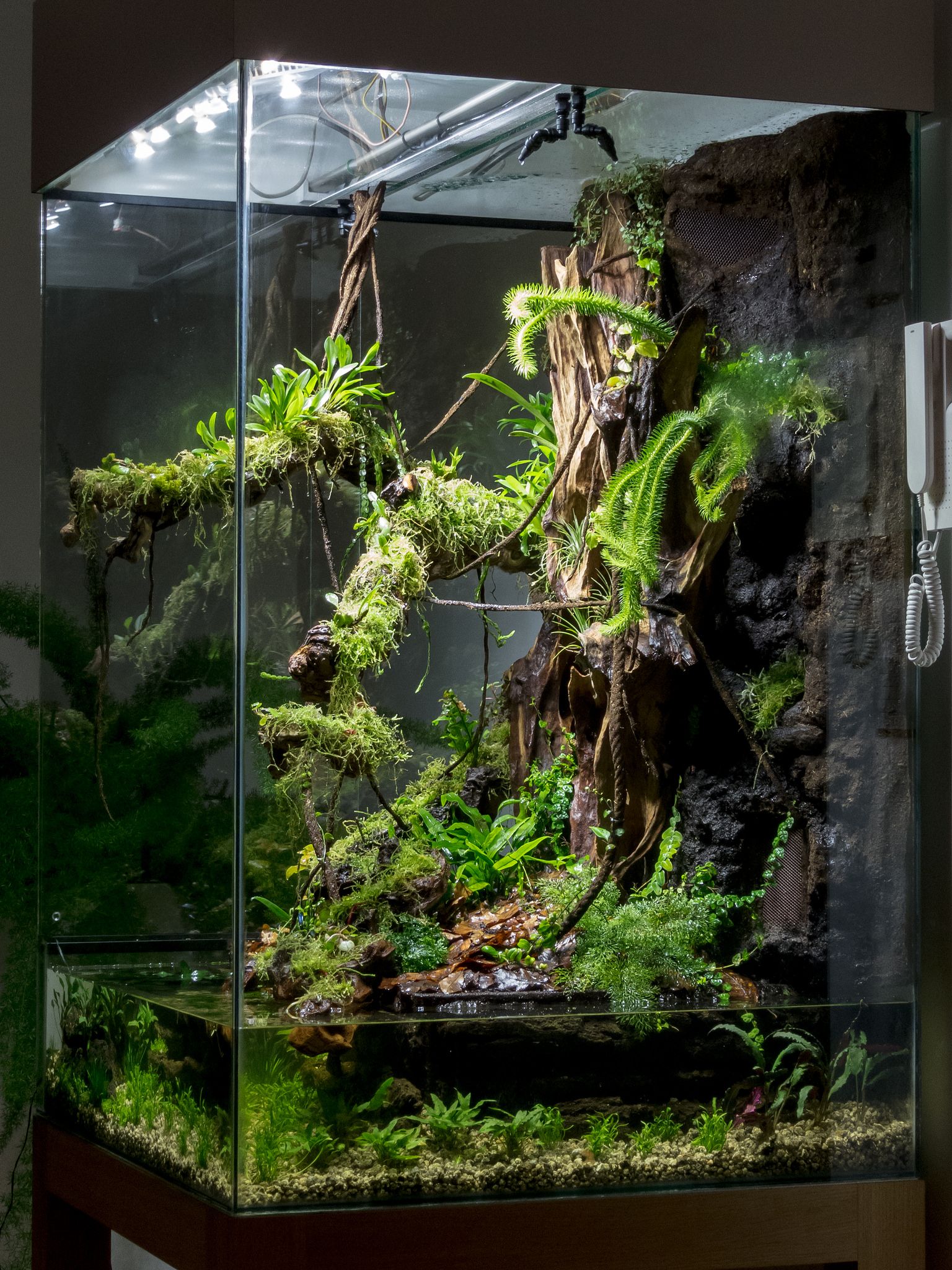 SlimeHive installation — exhibition view 1